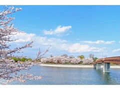 �ɐ��葢���g���R�~���j�e�B�[�p�[�N�i�g�u�]�����ӂꂠ�������j�̍��̎ʐ^1