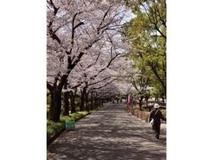 ���������܂�̎ʐ^1