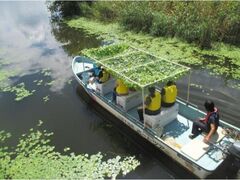 �O�c���J�r�@�{�[�g�c�A�[�̎ʐ^1