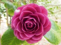 ���W�u�ցA���̖��́v�̎ʐ^1