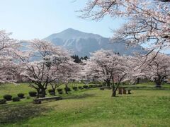 �r�R�����̍��̎ʐ^1