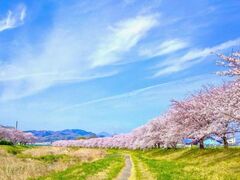 �����ܐ�{���̎ʐ^1