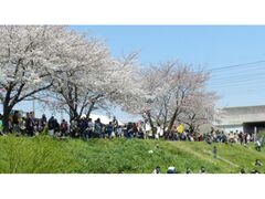 ���ڐ�Ԃ܂�̎ʐ^1