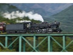 �����S���uSL�p���I�G�N�X�v���X�v�^�s�̎ʐ^1