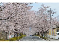 ���Җk���ʂ�@���̃g���l���̎ʐ^1