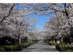 ���Җk���ʂ�@���̃g���l���̎ʐ^1