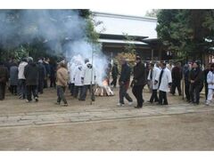 �_���_�Ђ̃I�q�^�L�̎ʐ^1