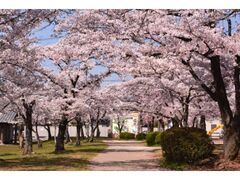 �є\���������̂�����̎ʐ^1