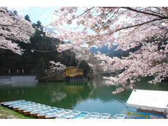 ���k�΂̍��̎ʐ^1