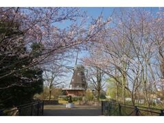 �ӂȂ΂��A���f���Z�������@������܂�̎ʐ^1