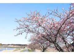 ̉wÂَӂ̉͒Í̎ʐ^1