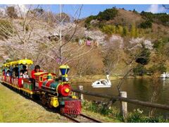 ���}���̐X���a���@�t�x��Festa�̎ʐ^1