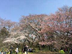 ���q�隬�̂�����̎ʐ^1