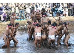 �a�ǔ�͂����Ղ�̎ʐ^1