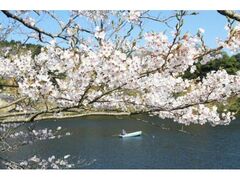 ���a�����̐X�̍��̎ʐ^1