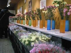 �J�[�l�[�V�����E�����[�t�F�X�e�B�o���̎ʐ^1