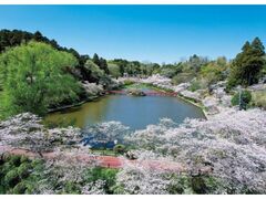 �Ό������̍��̎ʐ^1