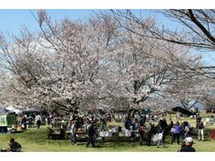 ��[�����R�����̂�����̎ʐ^1