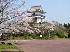 ���؏�Ռ����̂�����̎ʐ^1