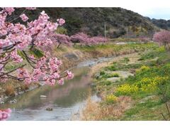 �ۓc��̗������@�������܂�̎ʐ^1