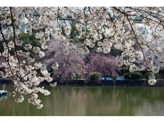 ��t�����̂�����̎ʐ^1