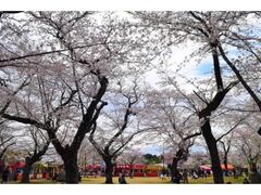 �����ڂ̎R�����@������R�̎ʐ^1