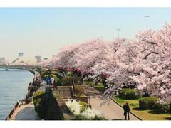 �n�炳����܂�̎ʐ^1