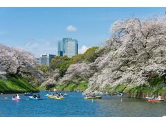 ���c�̂�����܂�̎ʐ^1