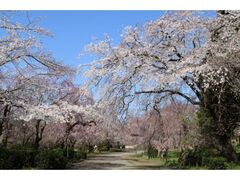 �_��A�������u������܂�v�̎ʐ^1