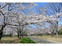 �s����X�،����̍��̎ʐ^1