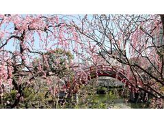 �T�˓V�_�~�܂�̎ʐ^1