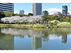 ���ŗ��{�����뉀�̍��̎ʐ^1