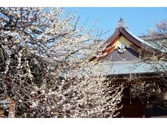 �����V�_�~�܂�̎ʐ^1