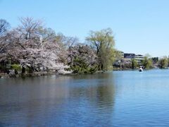 �ΐ_������̍��̎ʐ^1