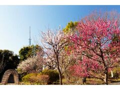 �����S�ԉ��u�~�܂�v�̎ʐ^1