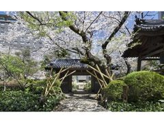 ���� ���܂�̎ʐ^1