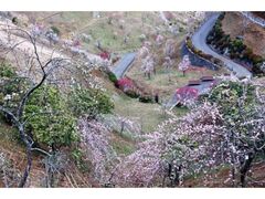 �g��~���~�܂�̎ʐ^1