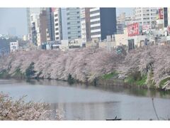 �O�������̍��̎ʐ^1