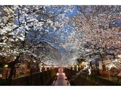 ���ڍ����܂�̎ʐ^1