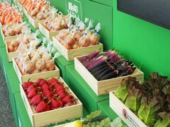 �t�@�[�}�[�Y���L�b�Y�t�F�X�^2026�̎ʐ^1