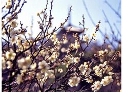 �O�≀�@�ϔ~��̎ʐ^1