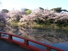 �߉������{�̍��̎ʐ^1