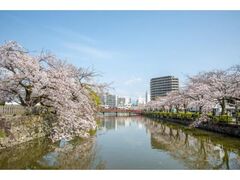 ���c���̍��̎ʐ^1