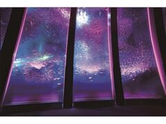 �͂ȃp���̎ʐ^1