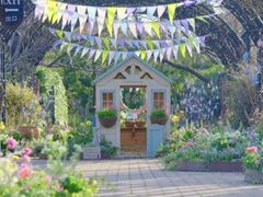 ���l�C���O���b�V���K�[�f���@�X�v�����O�E�t�F�X�e�B�o���̎ʐ^1