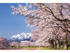 ���c�隬�����ύ���̎ʐ^1