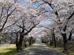 �����������܂�̎ʐ^1