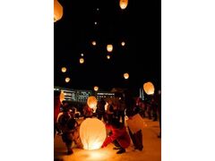 �Ȃ��܂�̎ʐ^1