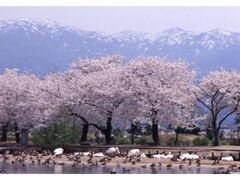 �����s�����C�g�A�b�v�̎ʐ^1