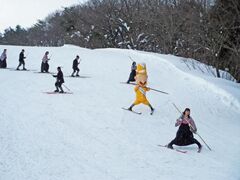 �����q�Ձ|���{�X�L�[����115���N�|�̎ʐ^1